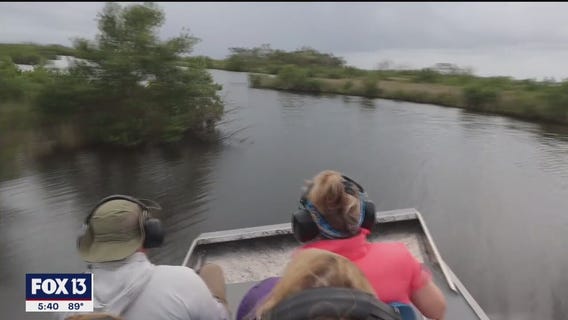 Untouched areas of Florida only accessible by airboat