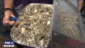 Venice family's love for fossil hunting launches shark tooth sifting invention