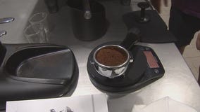 Become a barista through this training program