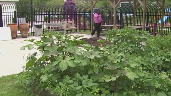 Harvest Hope garden recipe showcase