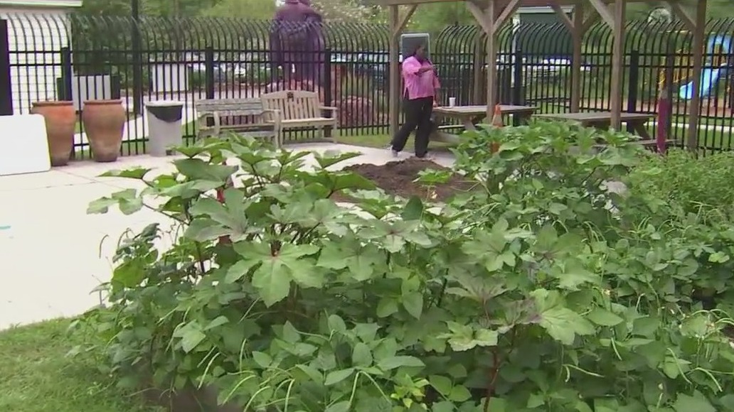 Harvest Hope garden recipe showcase