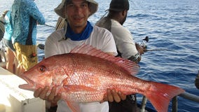 Red snapper season is coming to a close
