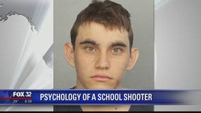Psychology of a school shooter