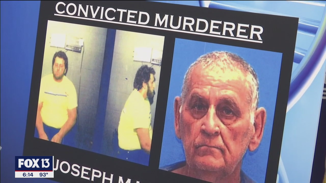 Cold case solved 35 years later with new DNA technology | FOX 13 Tampa Bay