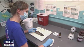 Tropical Aquaculture Laboratory benefits farmers and the ecosystem