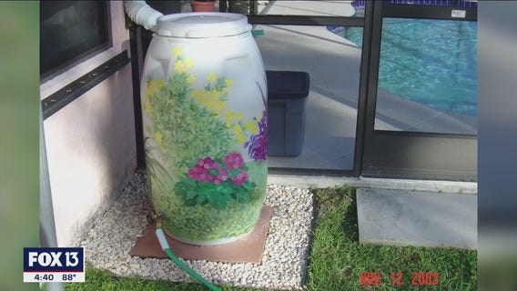 How to be water wise during Florida's rainy season