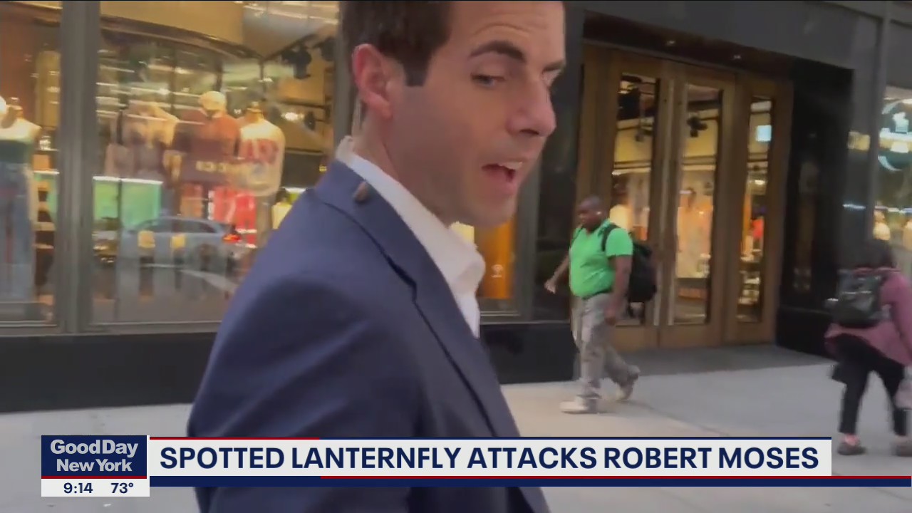 Spotted lanternfly 'attacks' Good Day New York reporter