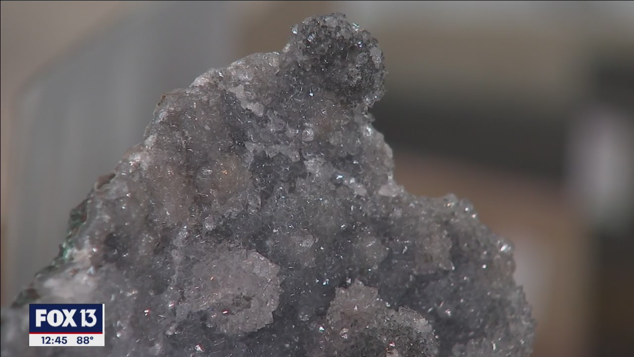 No stone unturned at 'We Rock Rocks'