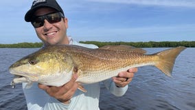 Redfish bite is red hot right now