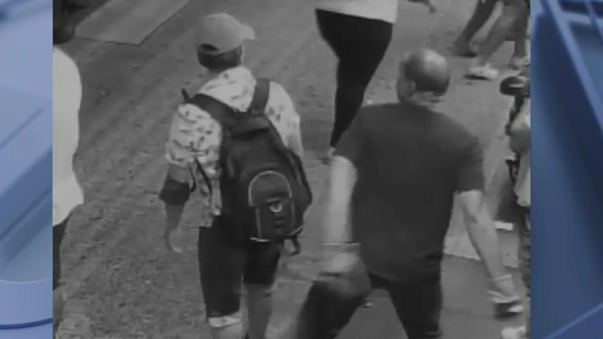 Suspect in Bronx sucker-punch attack released without bail | FOX 5 New York
