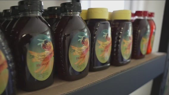 The Honey Couple producing specialty honey in Tampa Bay