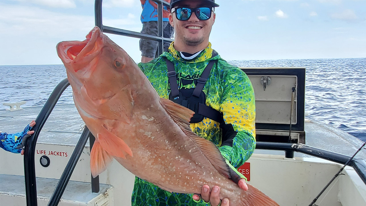 Red grouper may reach 'ACL' forcing season closure