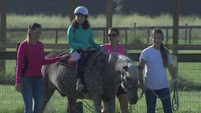 Horses make great physical therapy for those with disabilities