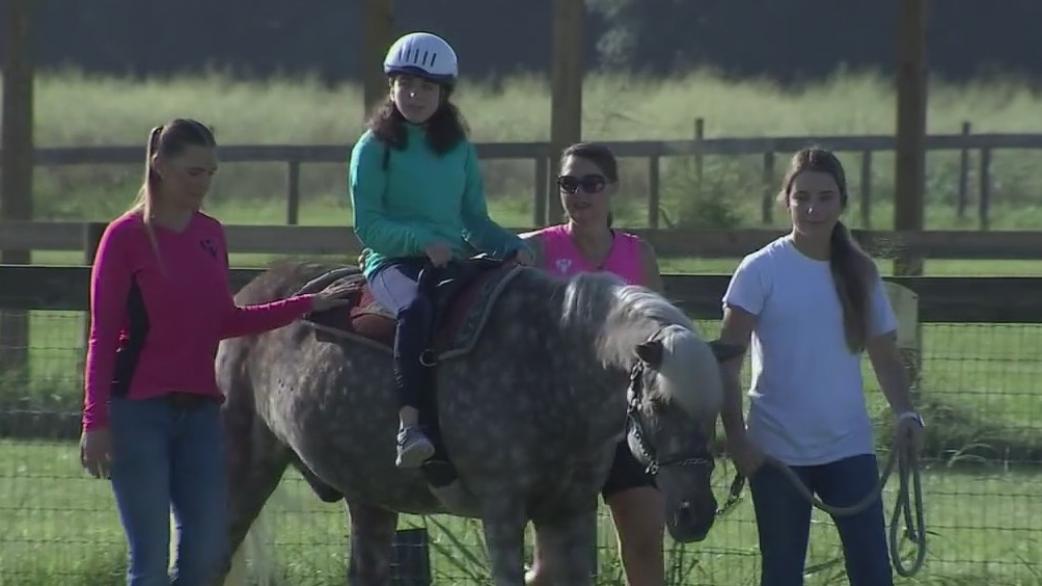 Horses make great physical therapy for those with disabilities