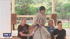 Healing with horses at Inspire Equine Therapy Program