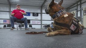 At K9 Partners for Patriots, veteran helped heal himself by helping others