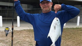 Pompano set to return inshore during fall