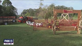 Family friendly fall festival at DK Farm and Nursery