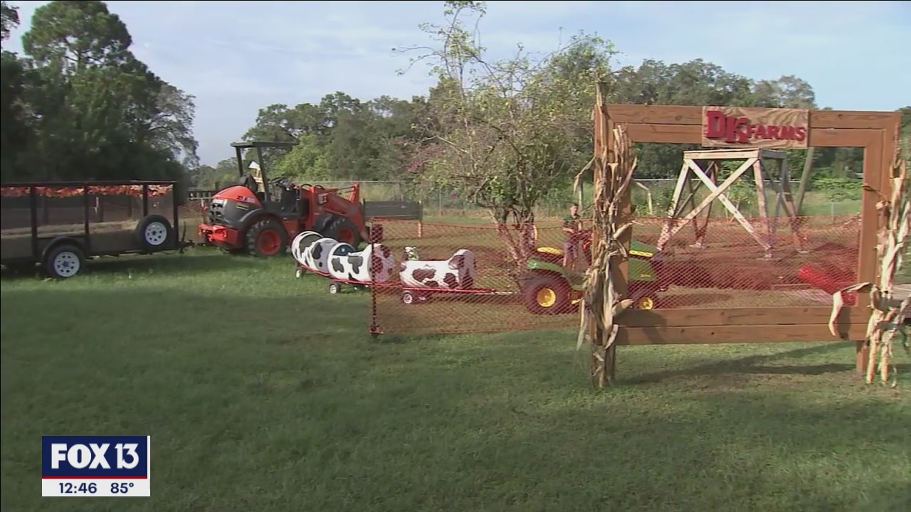 Family friendly fall festival at DK Farm and Nursery