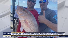 Redifsh biting inshore