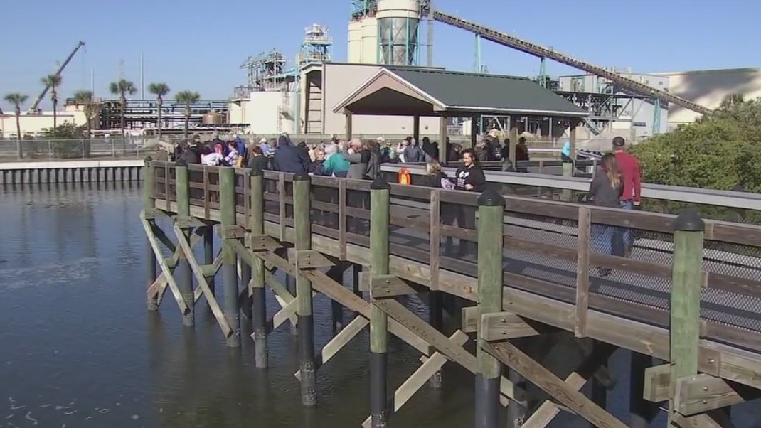 Manatee Viewing Center back open | FOX 13 Tampa Bay