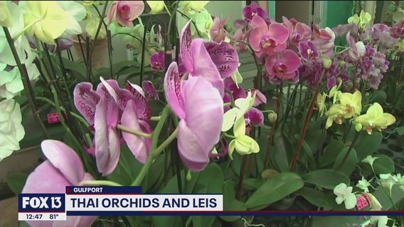 Local woman's love of plants helps business bloom
