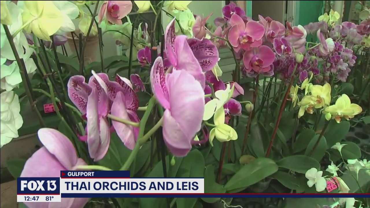 Local woman's love of plants helps business bloom