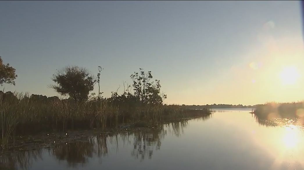 Winter Haven boat tour gives front-row view of nature