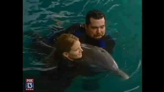 FOX 13's original report on Winter the dolphin: April 2007