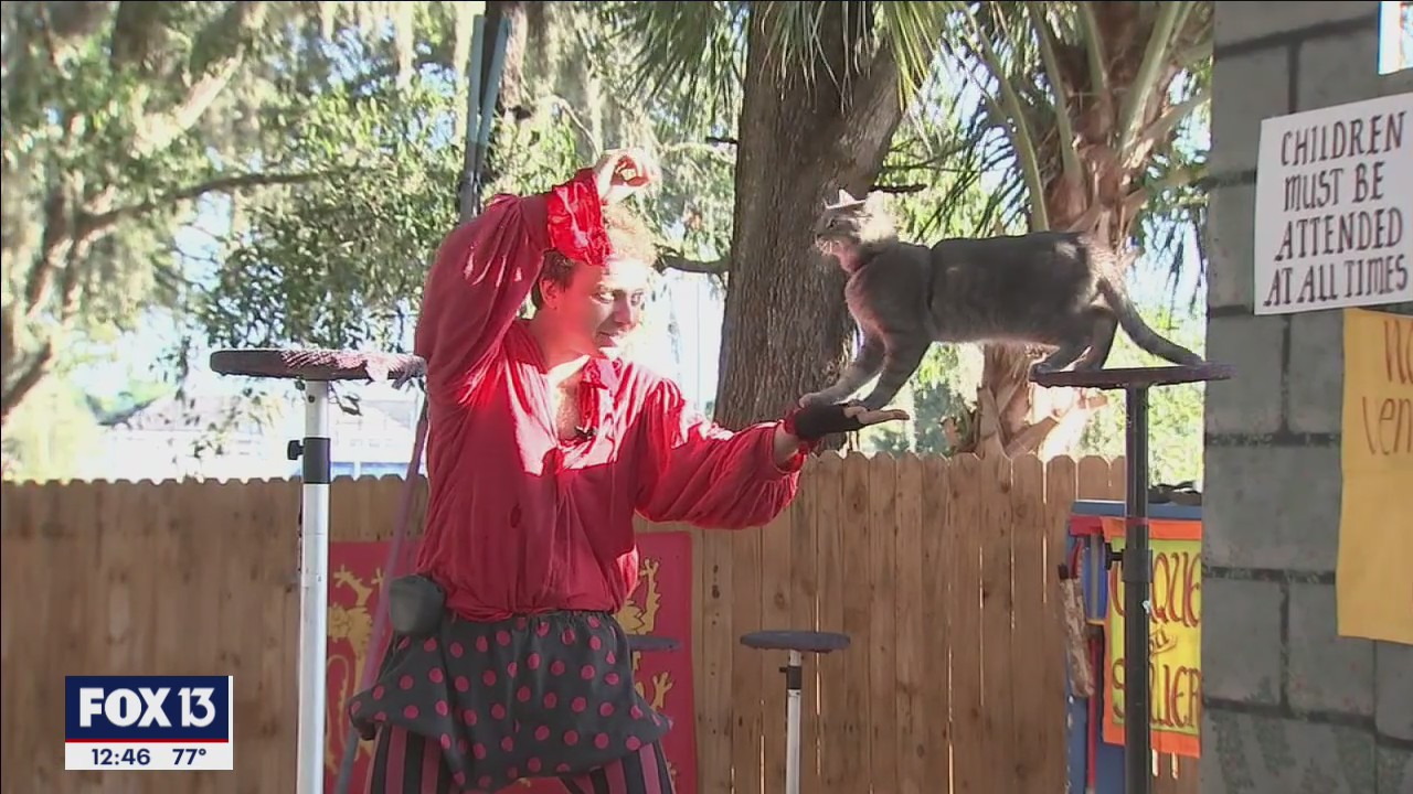 Take the family back in time at the SunCoast Renaissance Festival
