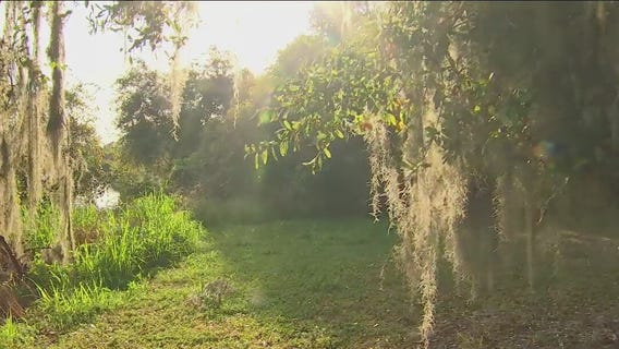 Hillsborough County invites you to take a hike