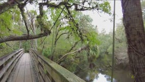 Explore the Historic Hillsborough River in Thonotosassa
