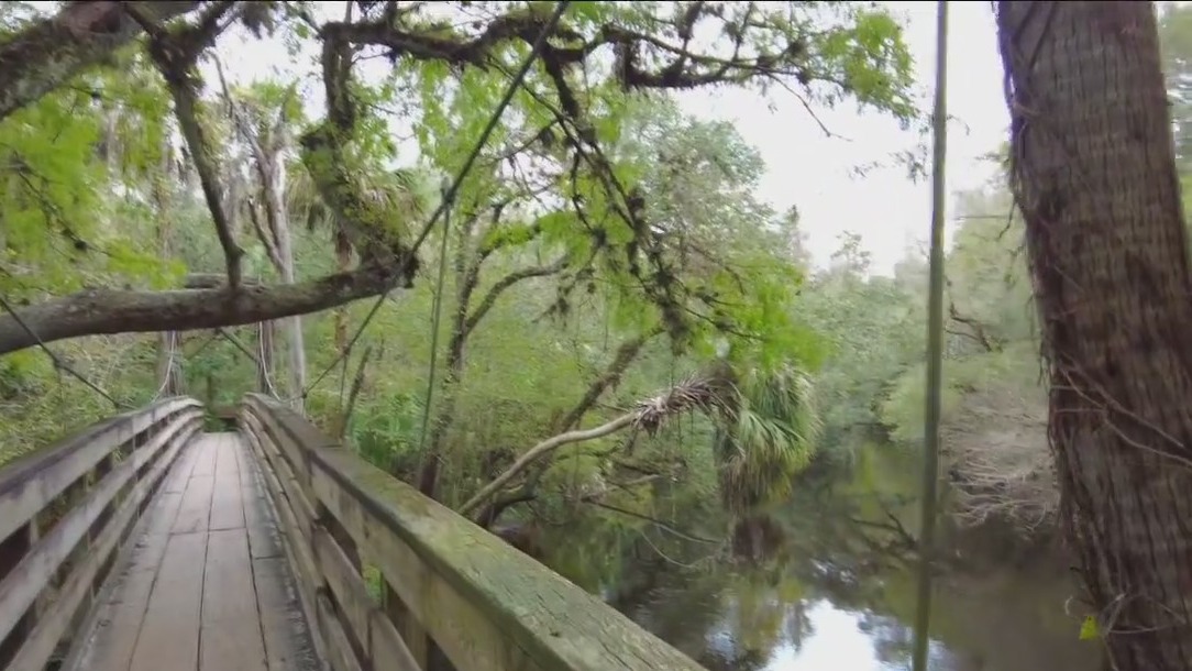 Explore the Historic Hillsborough River in Thonotosassa