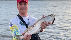 Cooler waters bring more trout action inshore