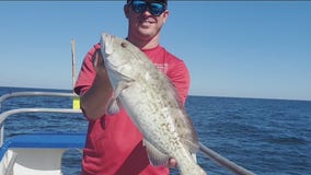 Cold snap may push fish out of passes and off beaches