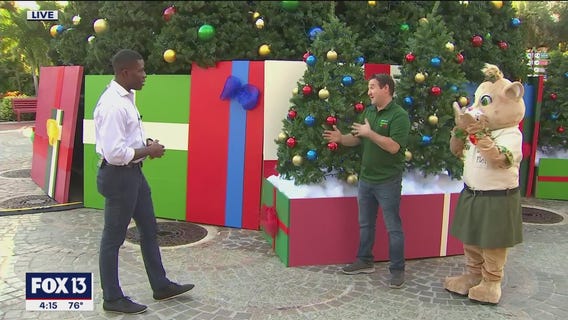 Food, fun, and more at ZooTampa's 'Christmas in the Wild'