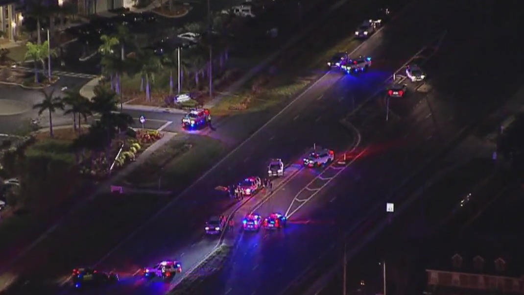 Pedestrian dies after being struck by Pinellas deputy | FOX 13 Tampa Bay