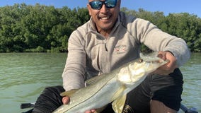 Snook are still biting inshore