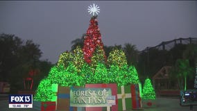 ZooTampa is shining bright for the holiday season