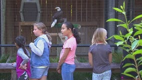 Winter in the wild nature camp for kids