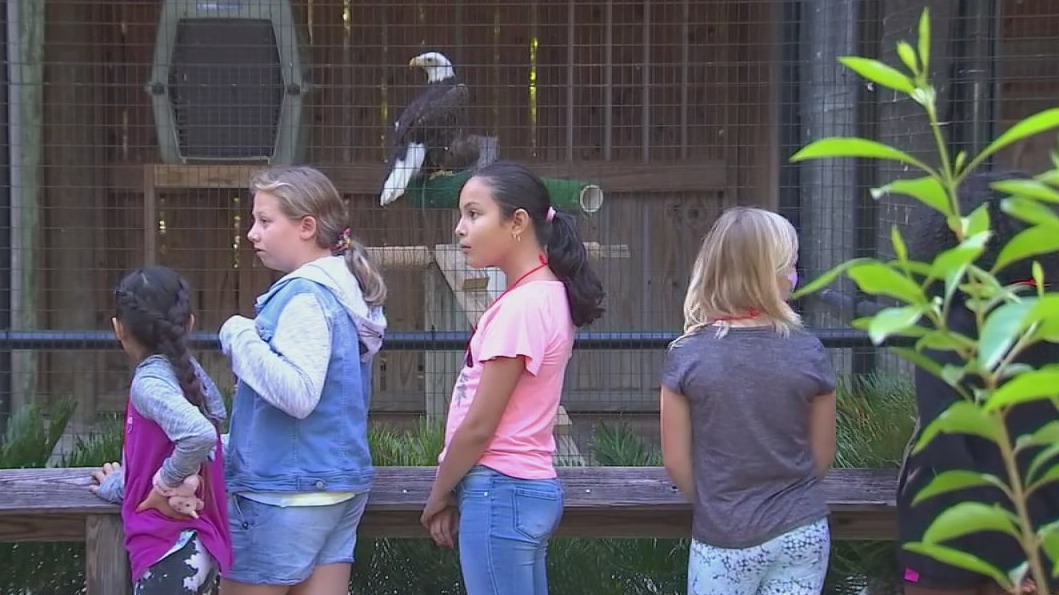 Winter in the wild nature camp for kids