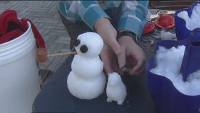 Snow days at Florida Aquarium are here