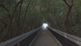 Get moving with Hillsborough's hiking challenge