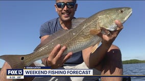 Tampa Bay Fishing Forecast: Jan. 1, 2022