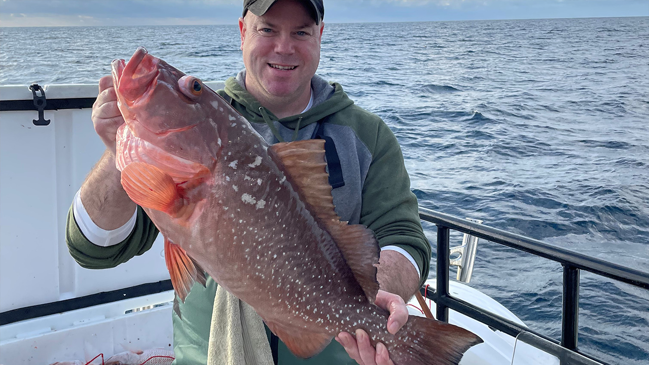 Red grouper season is open in the Gulf