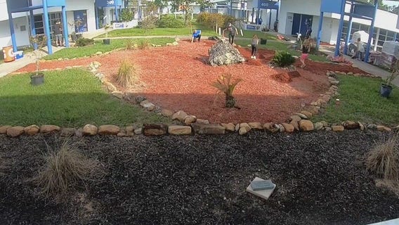 Grow the Grove beautification project