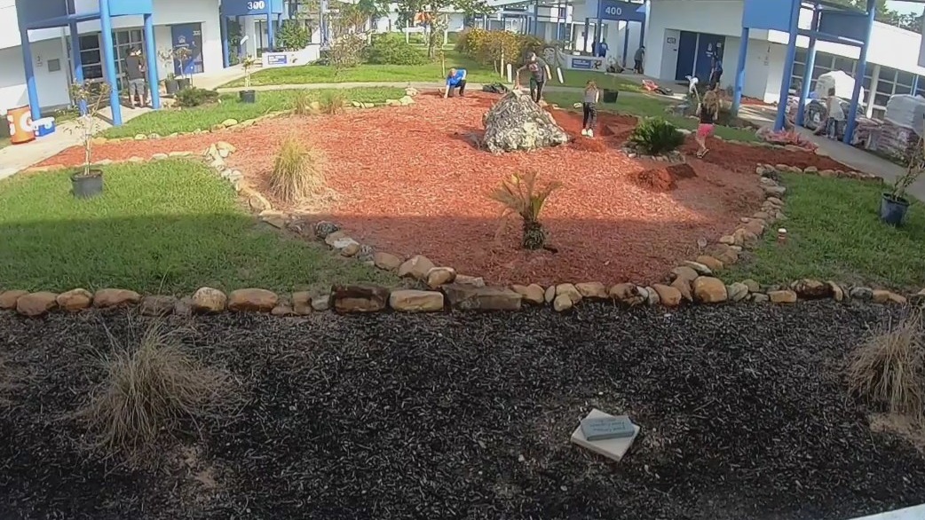 Grow the Grove beautification project