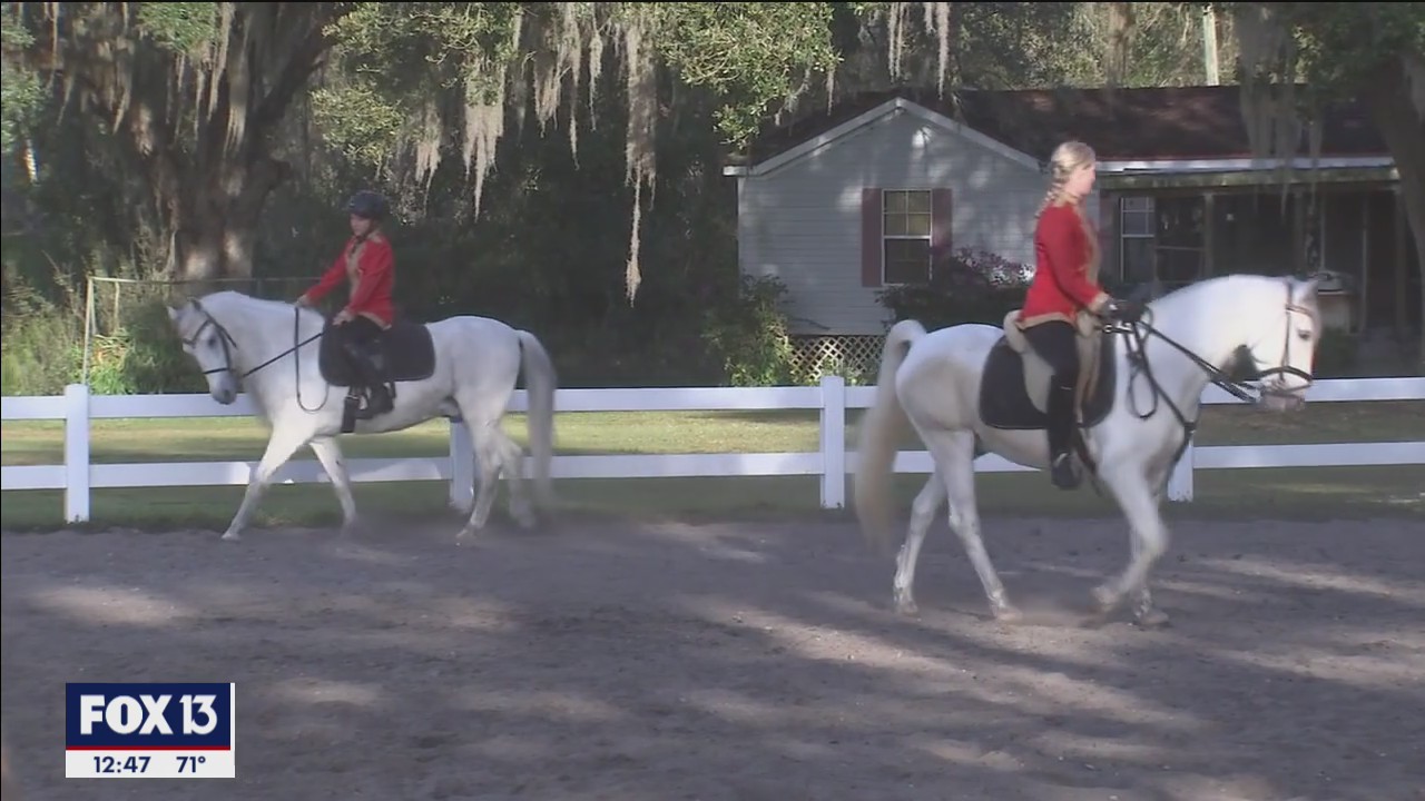 Carrying on the family tradition at Herrmann's Royal Lipizzan Stallions