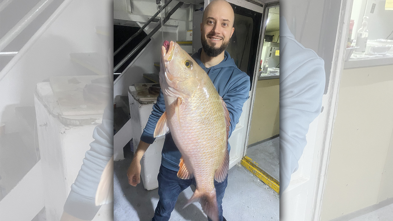 Offshore, mangrove snapper bite is on fire
