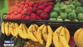 Tampa Fresh Foods offers free art for fun